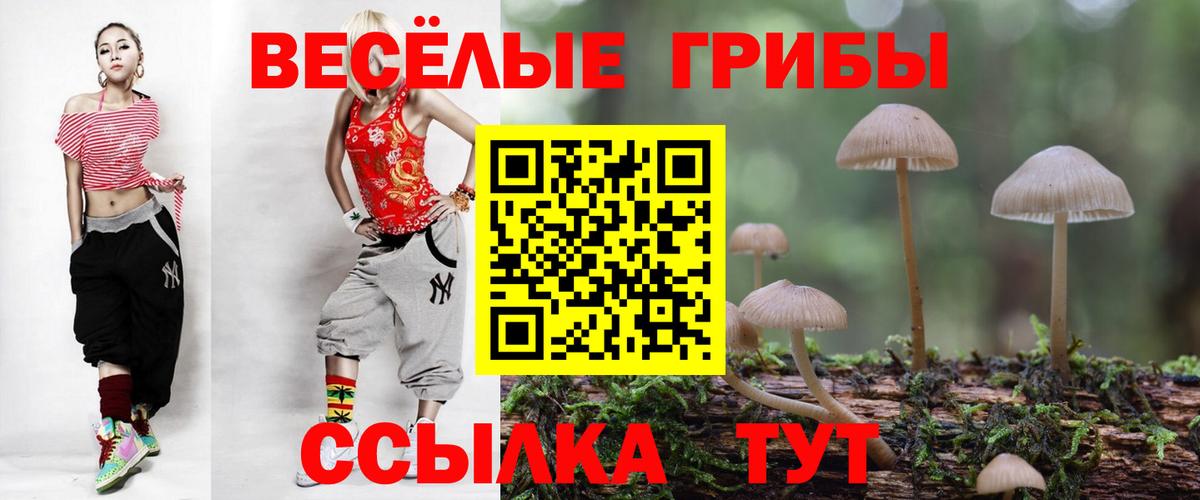 Татарск  Галлюциногенные грибы Psilocybe  Вход с VPN 